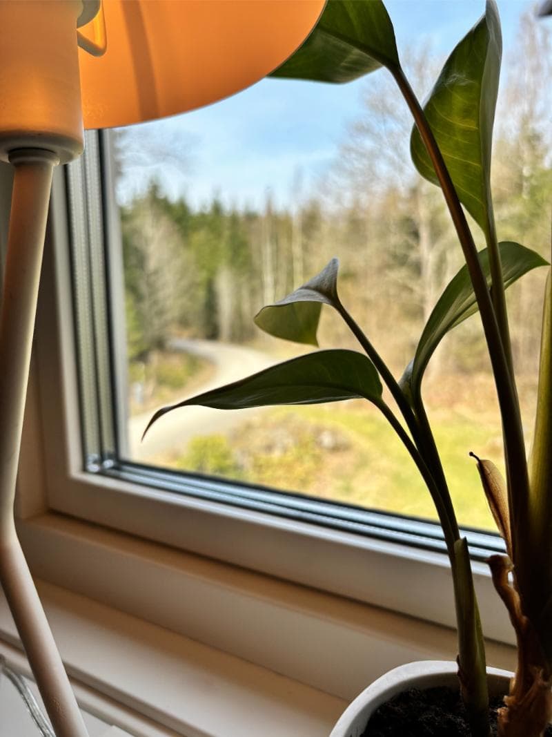 Slaapkamer 3